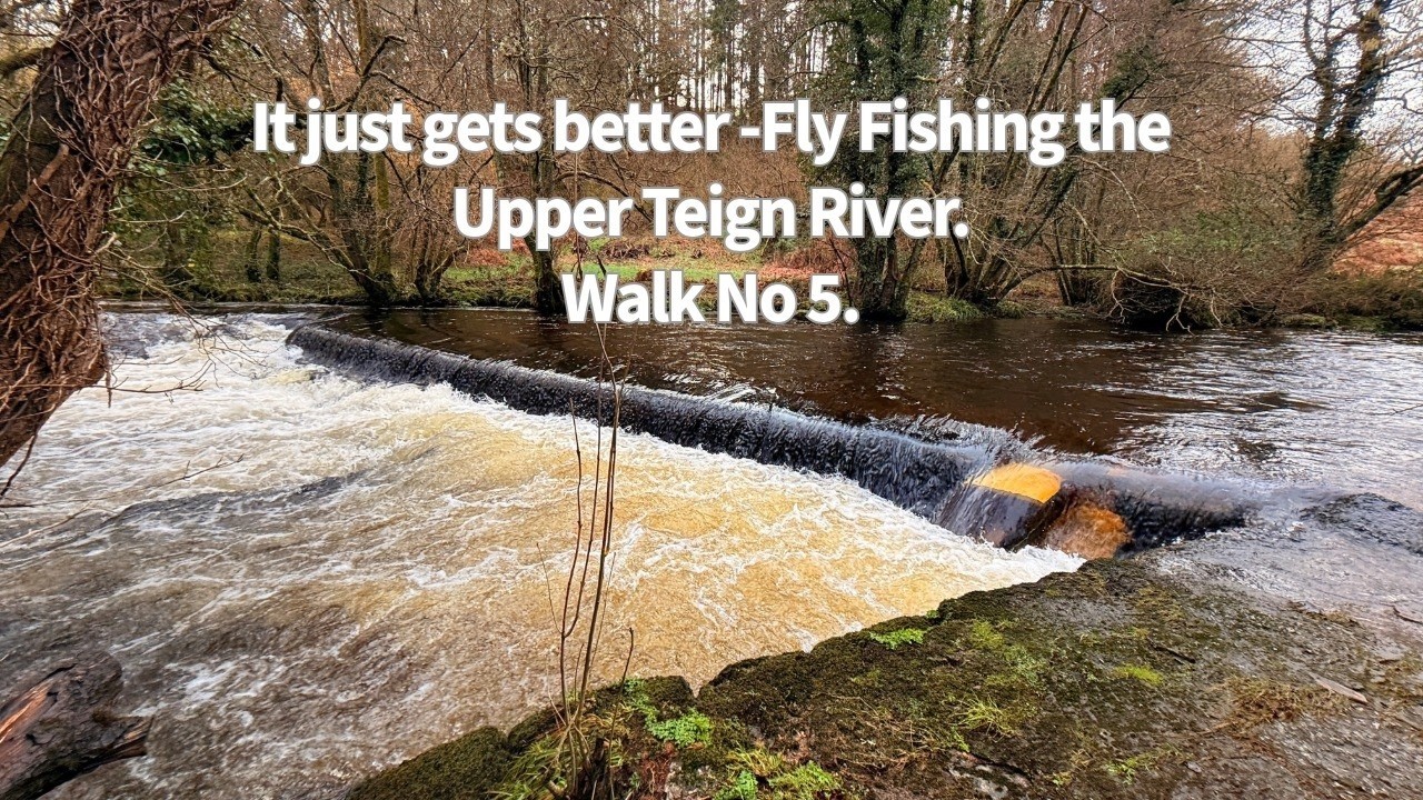 It just gets better  Fly Fishing the Upper Teign. Walk 5 Dogmarsh Bridge to Chagford swimming pool