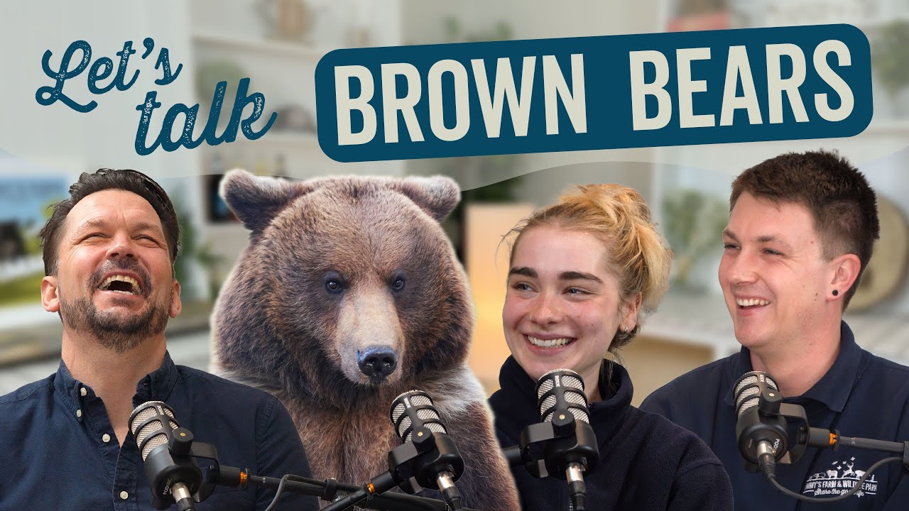 BEAR with us - Our first ever episode! - S1 Ep1 | Talking Wild