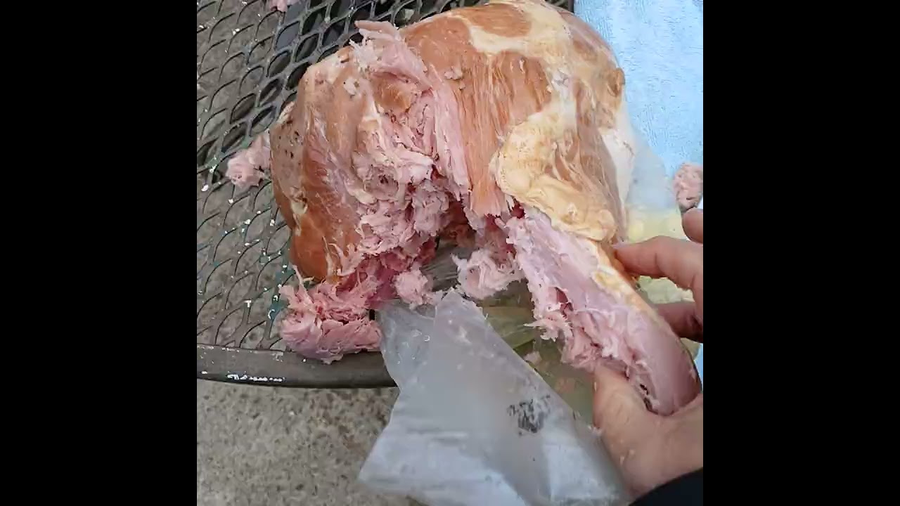 Huben против Ham! (Достаточно ли винтовки Huben GK1 калибра .25 PCP для самообороны дома?)