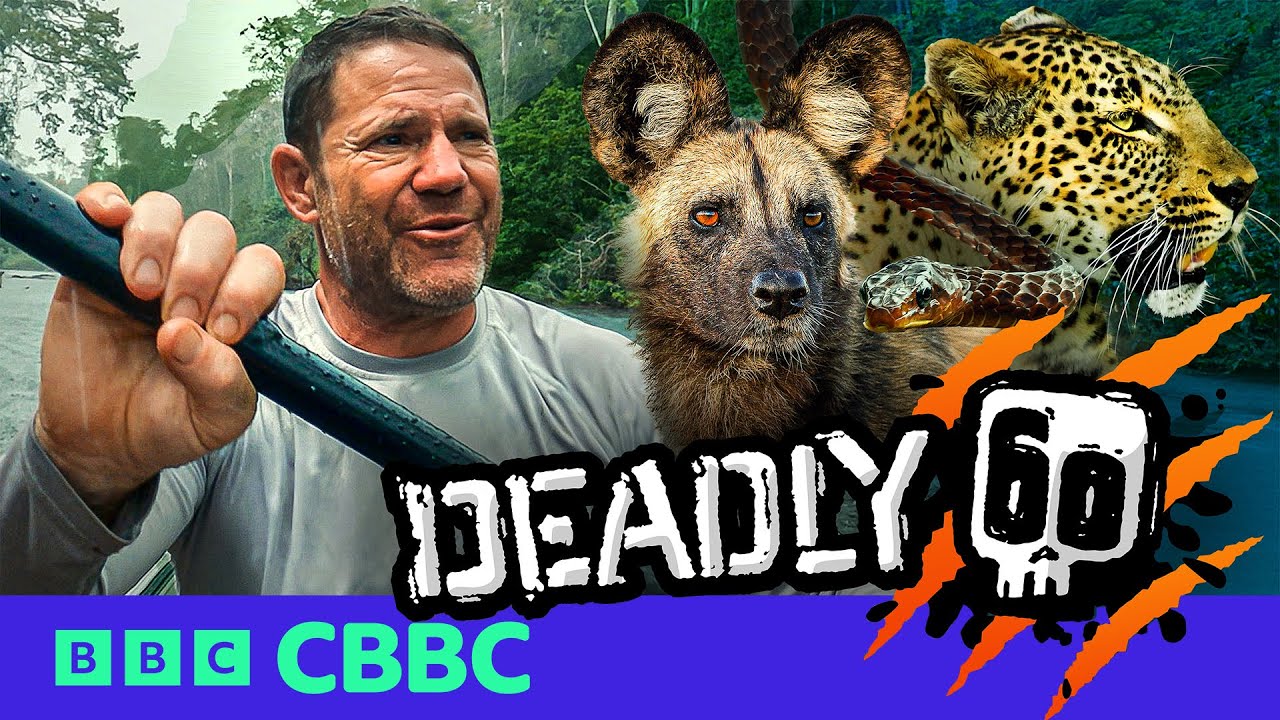 NEW: Deadly 60 | Official Trailer | Watch now on BBC iPlayer | CBBC