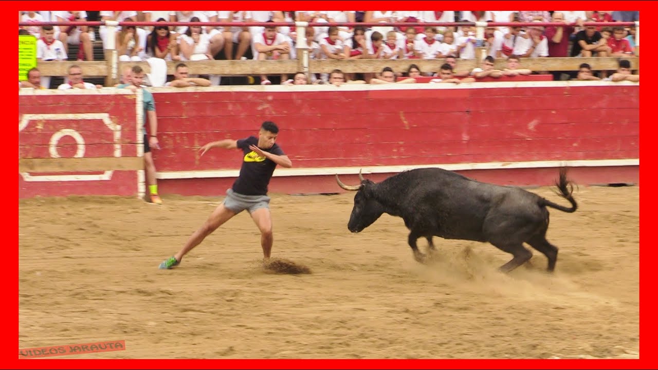 CORTES ( NAVARRA ) TARDE VACAS PLAZA ( MIERCOLES 27 SEPTIEMBRE 2023 ) GANAD.ADRIAN DOMINGUEZ