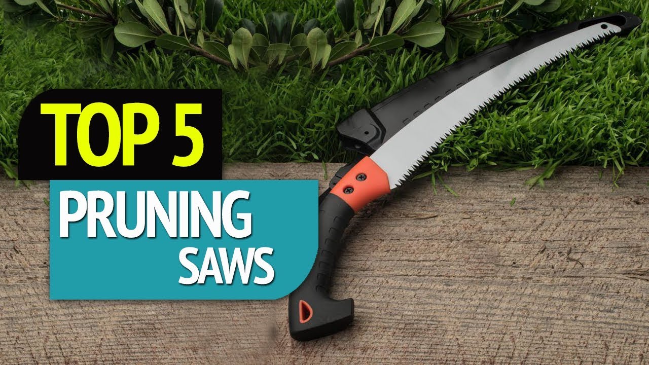 TOP 5: Pruning Saws