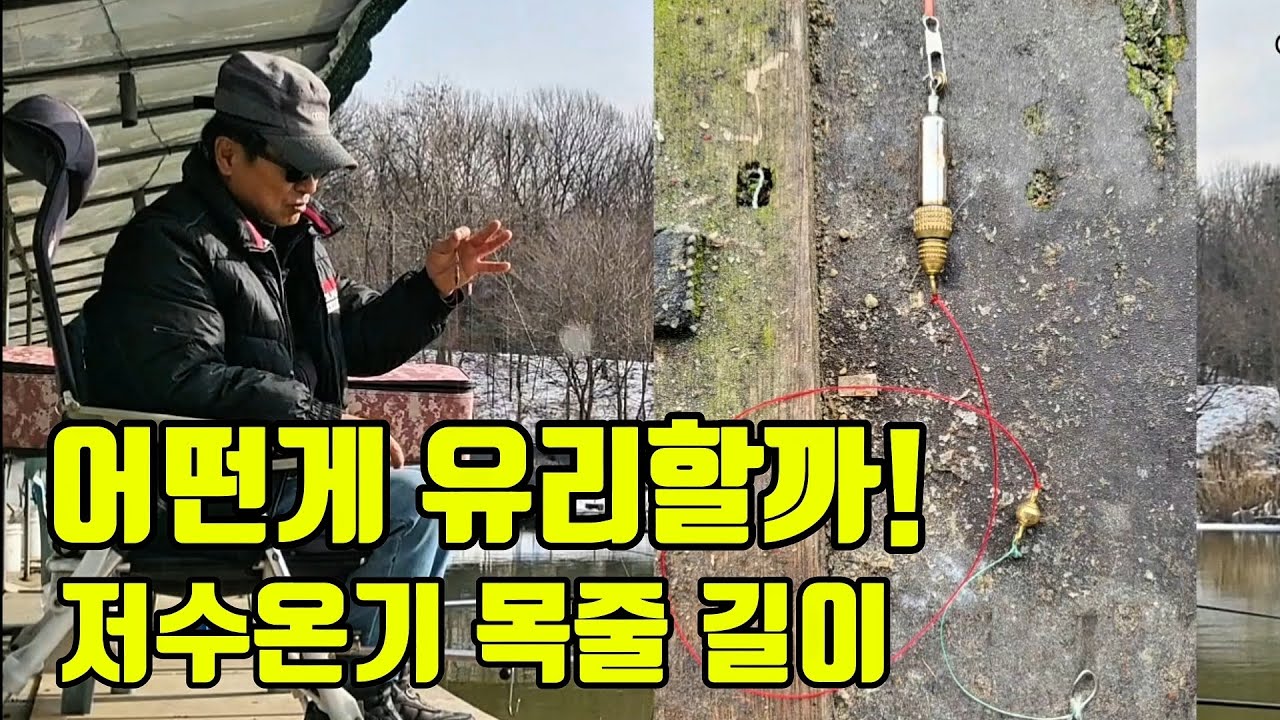 어떤게 유리할까! 저수온기 목줄