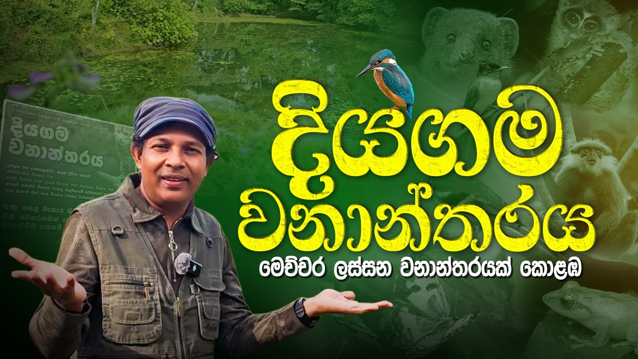 ජෛව විවිධත්වයෙන් පිරිපුන් දියගම වන ගැබ 