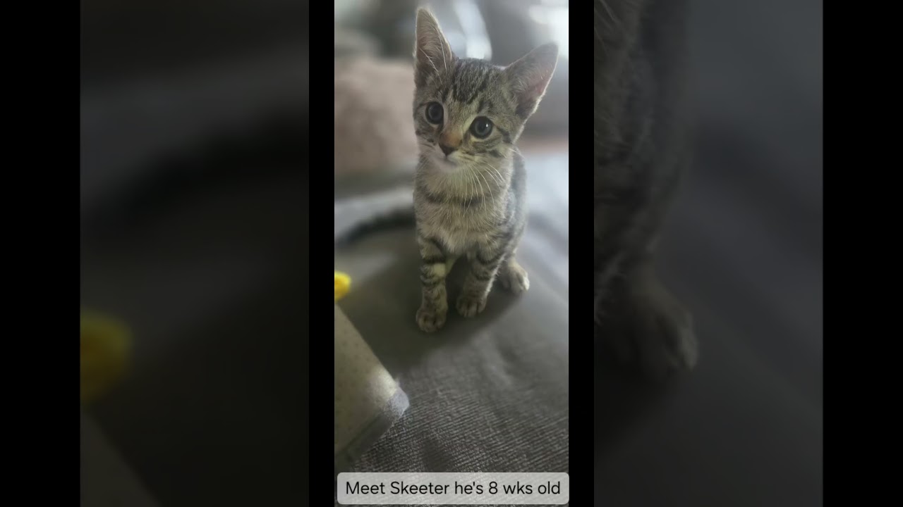 Meeting the smallest member of my family, Skeeter