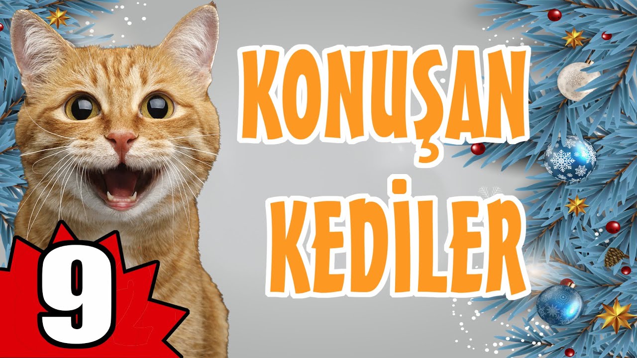 KONUŞAN KEDİLER 9 - EN KOMİK KEDİ VİDEOLARI