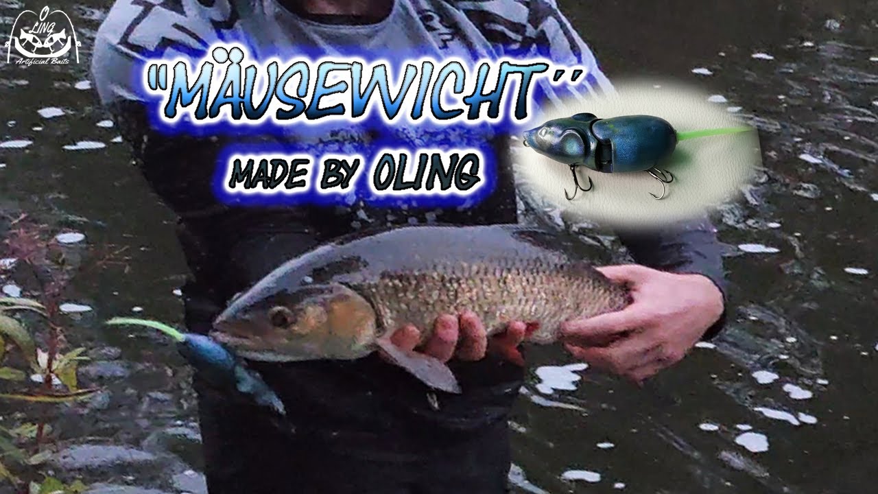 European CHUB &hearts;️😍&hearts;️ MICE