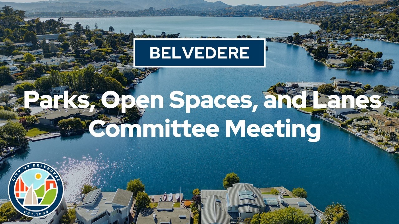 Parks, Open Spaces and Lanes Committee Meeting: March 16, 2026