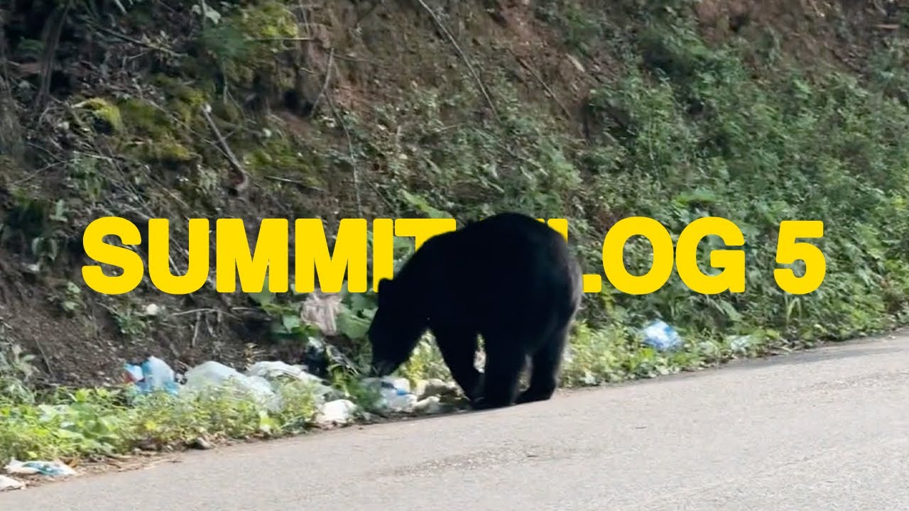 WE SAW A BEAR! (Summit 2025) | vlog 125
