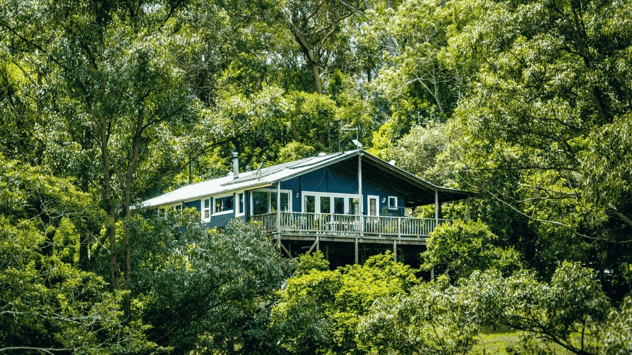 52 Sunny Corner Road, Bellingen NSW 2454 - Contact Warren on 0427 552 287