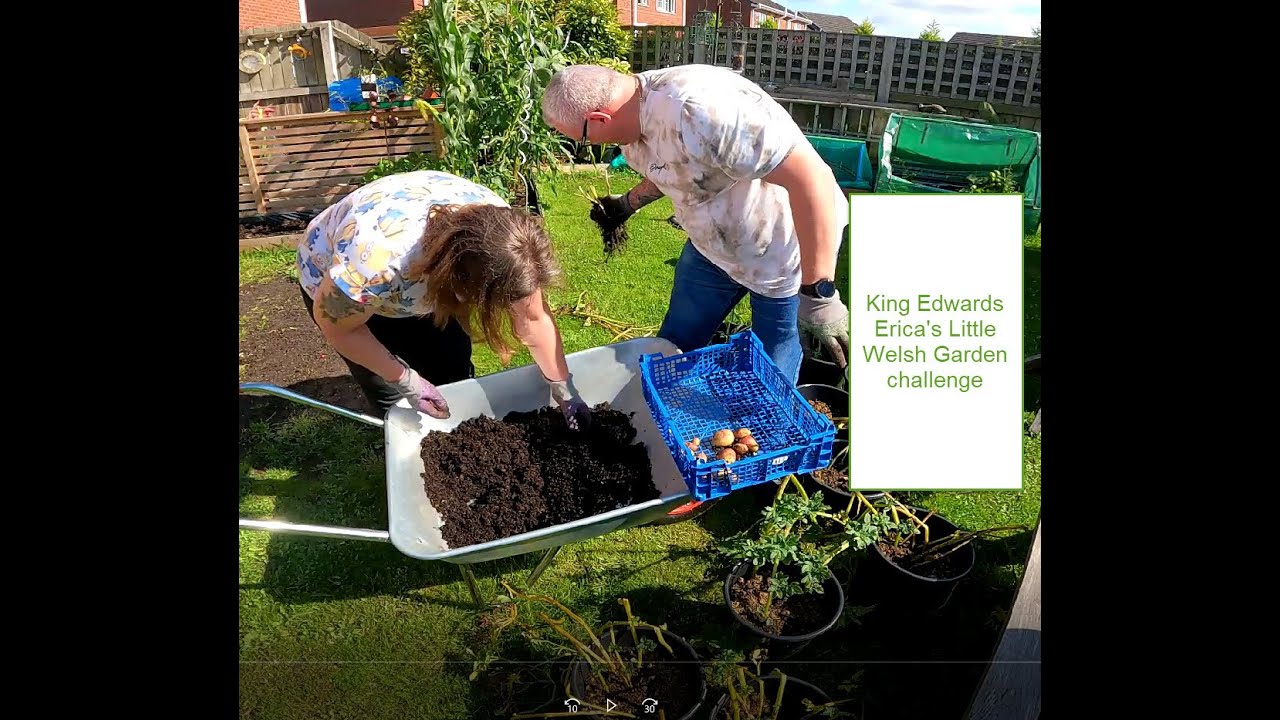 King Edwards Erica's Little Welsh Garden challenge
