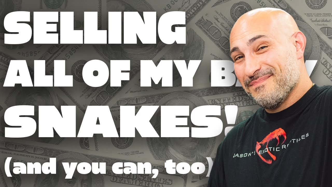 Buy My Snakes! How to Make Money Breeding Reptiles