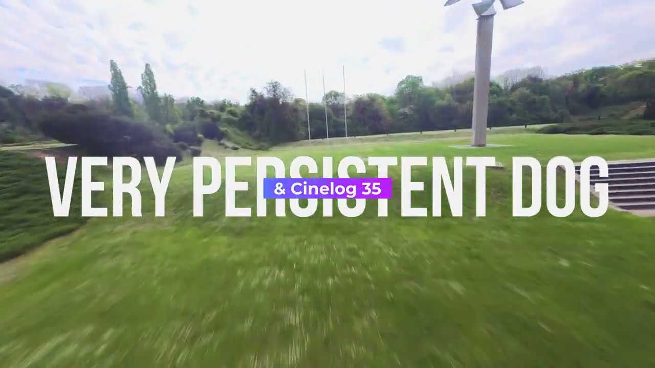 Very persistent dog - #fpv #fpvfreestyle