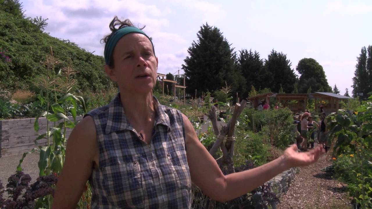 CityStream: Beacon Food Forest