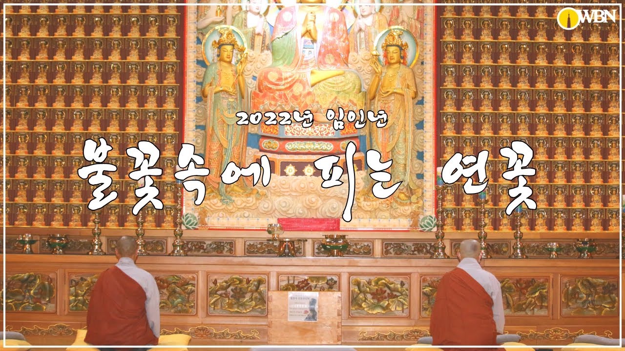 불꽃속에피는연꽃 20221226 아침  |  스님과 함께하는  요가명상과 좌선명상  |  Guided Daily Meditation