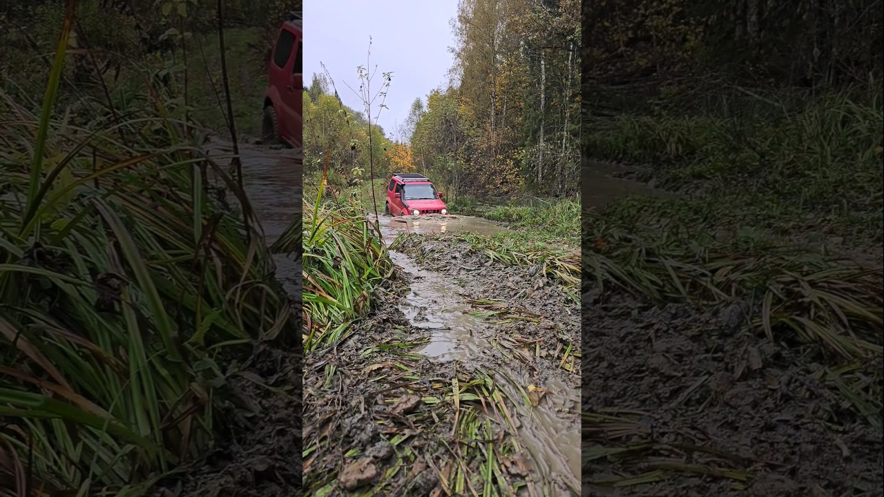 Suzuki Jimny, лучший внедорожник?! #покатушки #suzuki #offroad #с910ха