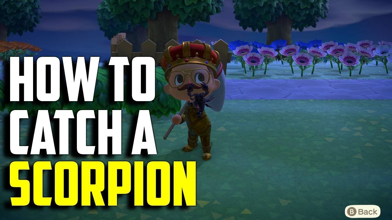 How to Catch a Scorpion | Scorpion ACNH | Animal Crossing New Horizons Scorpion | ACNH Scorpion