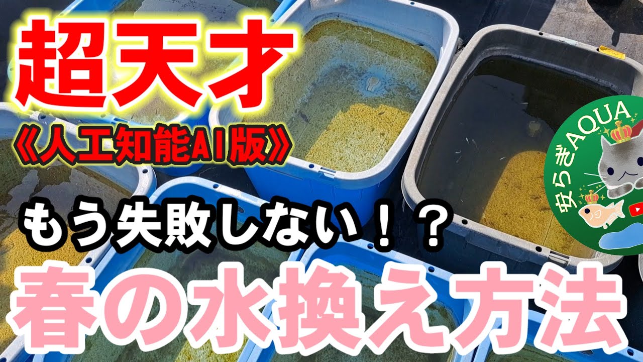 【超天才】一年で一番難しい春の水換え方法を人工知能AIに聞いてみたらこうなる。安らぎAQUAちゃんねる
