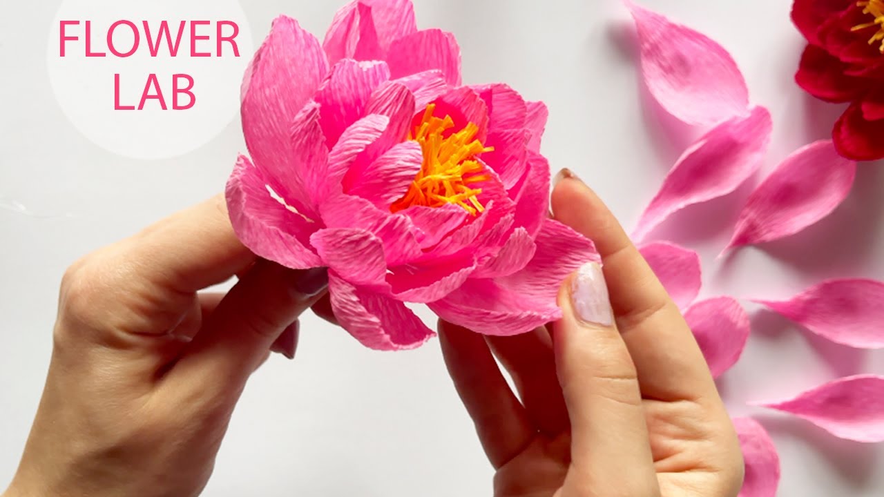 Paper pink peony | DIY Paper Flower Tutorial