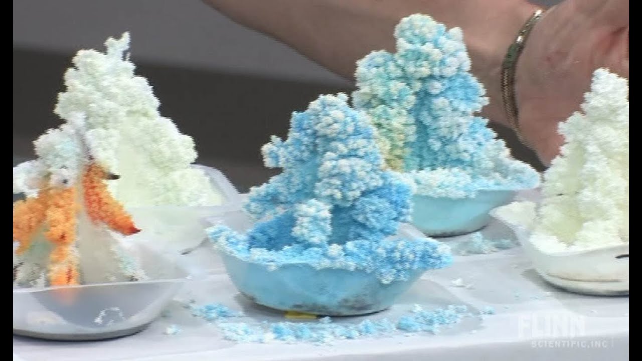 The Crystal Forest
