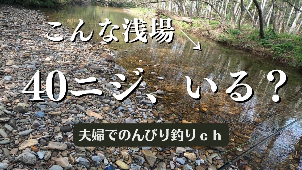 水深30㎝もない浅場。何か、もじったように見えたが…。