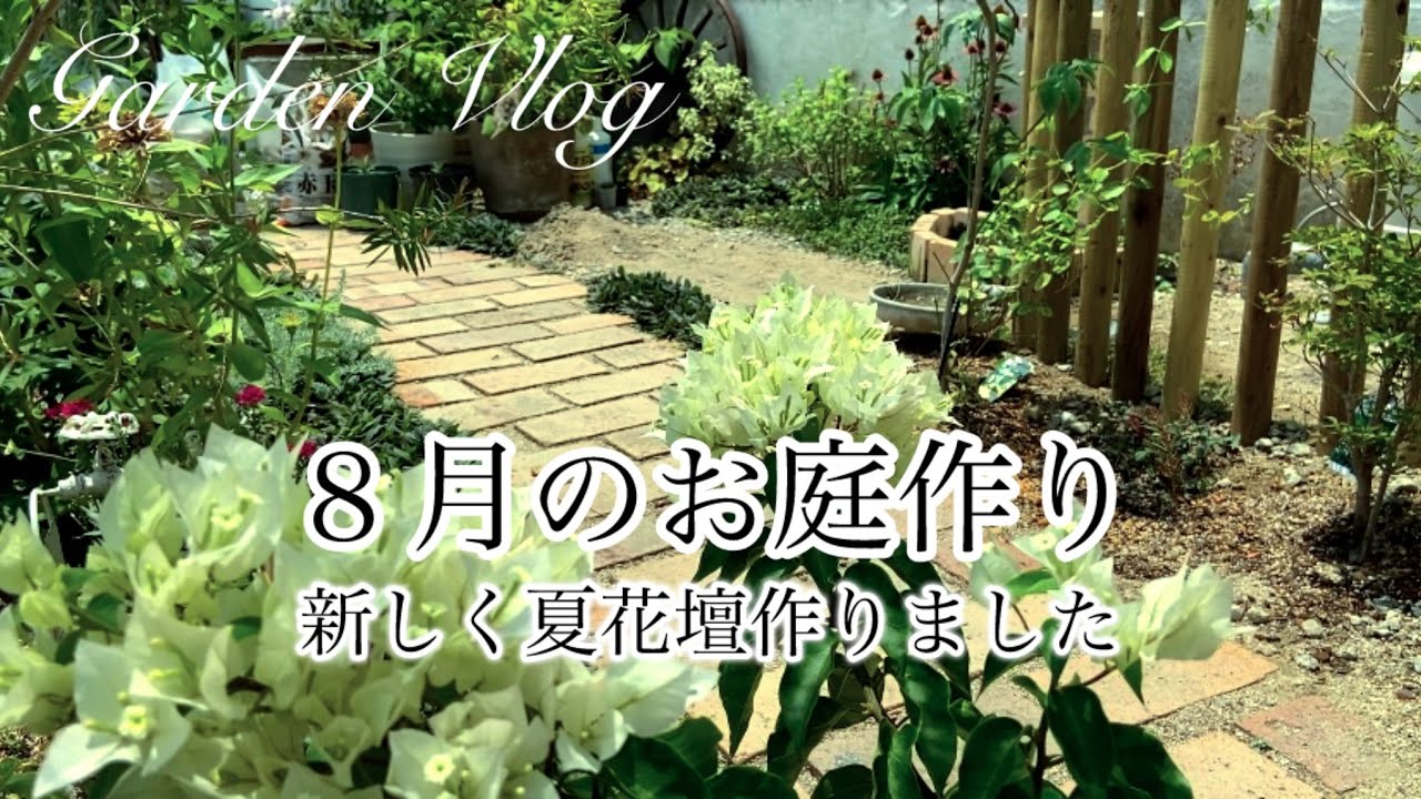 【ガーデニングvlog】８月のお庭作り／見切り品の花木買いました／新しく夏花壇作り／水生植物／夏庭の様子