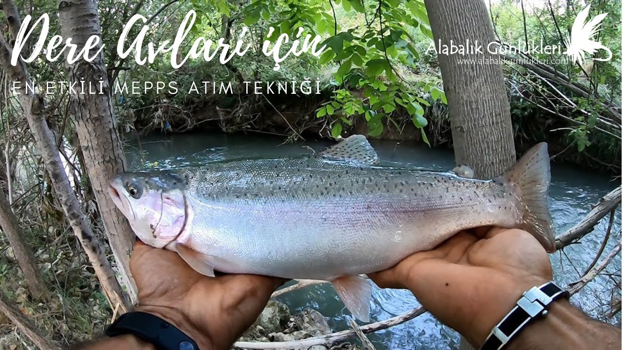 Alabalık Avı | Mepps Atım Tekniği Önemli Bilgiler | Derede Avlarında En Etkili Mepps Tekniği
