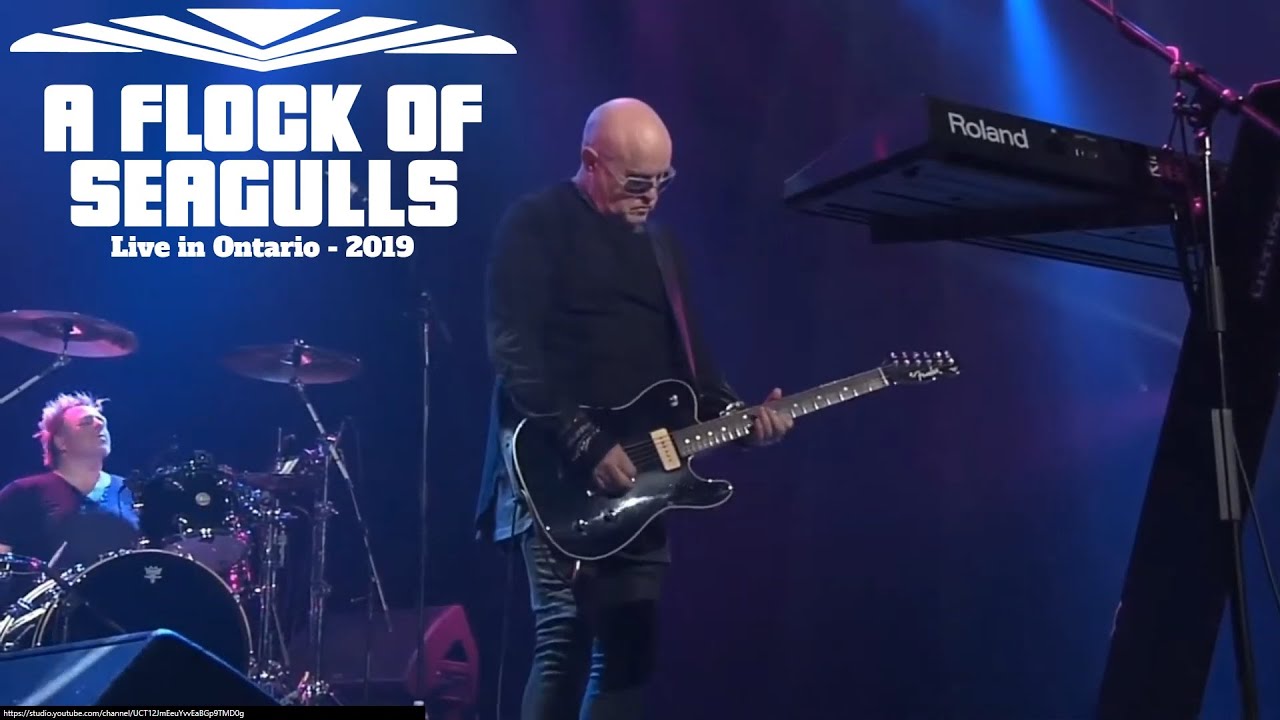 A Flock Of Seagulls - Man Made - Live in Ontario 2019 Video HD