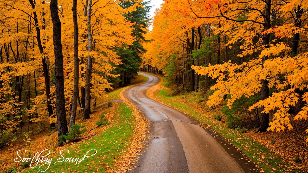 Beautiful Autumn Music 🍁 Calming The Soul With Gentle Tunes