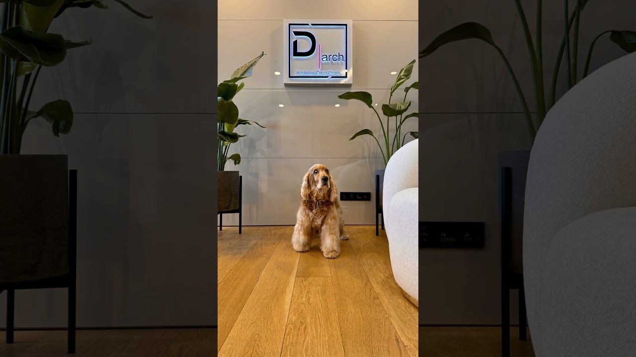Darch Ofis Turu