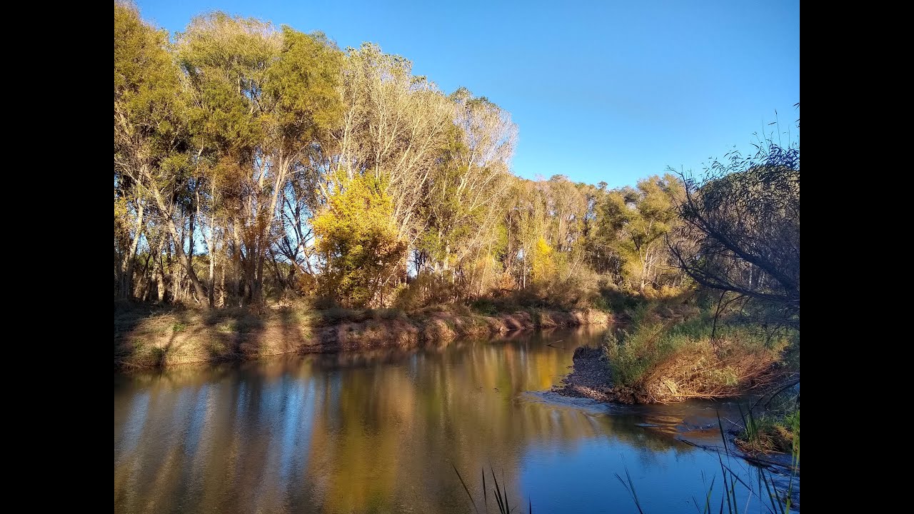 Reflets dans l'Eau  -- Claude Debussy