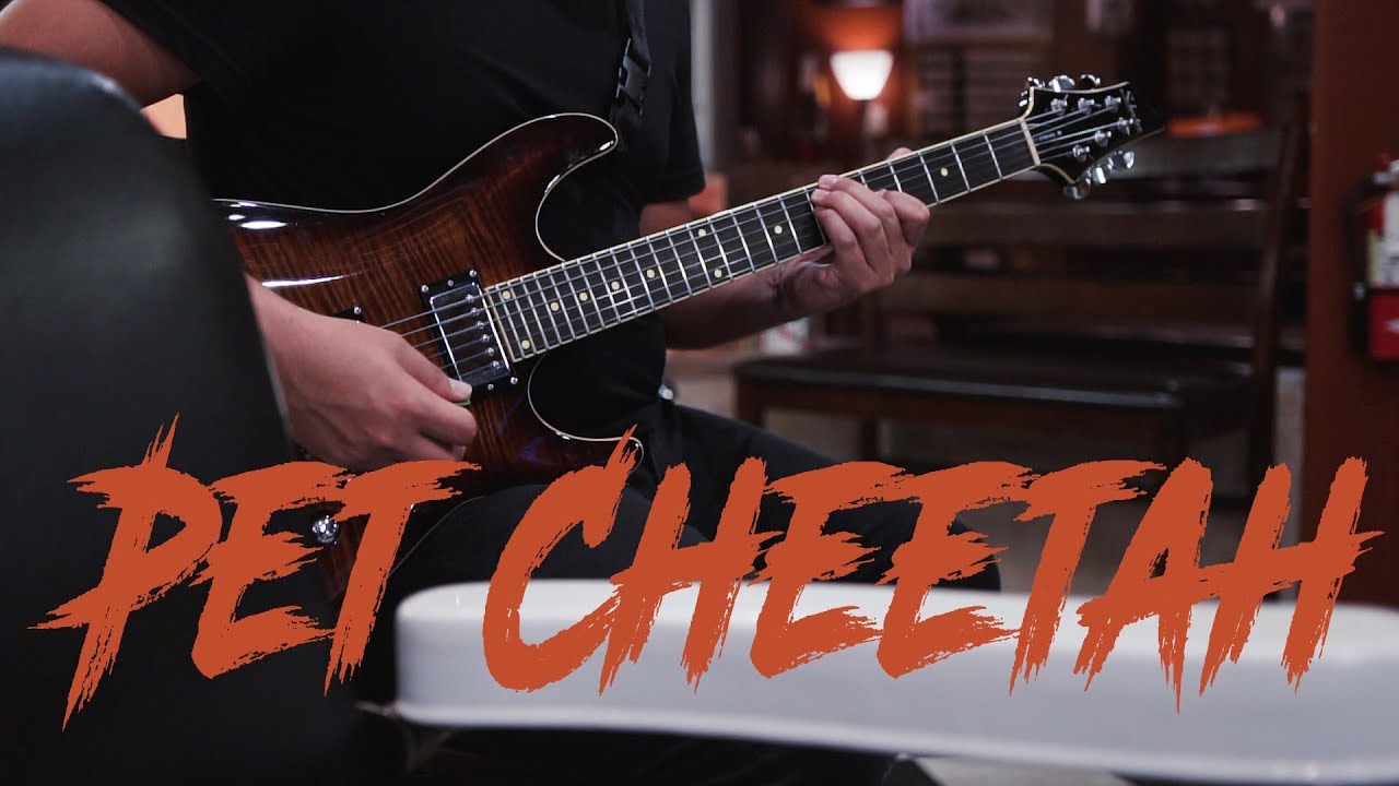 Pet Cheetah - Twenty One Pilots (Lake City Sessions)
