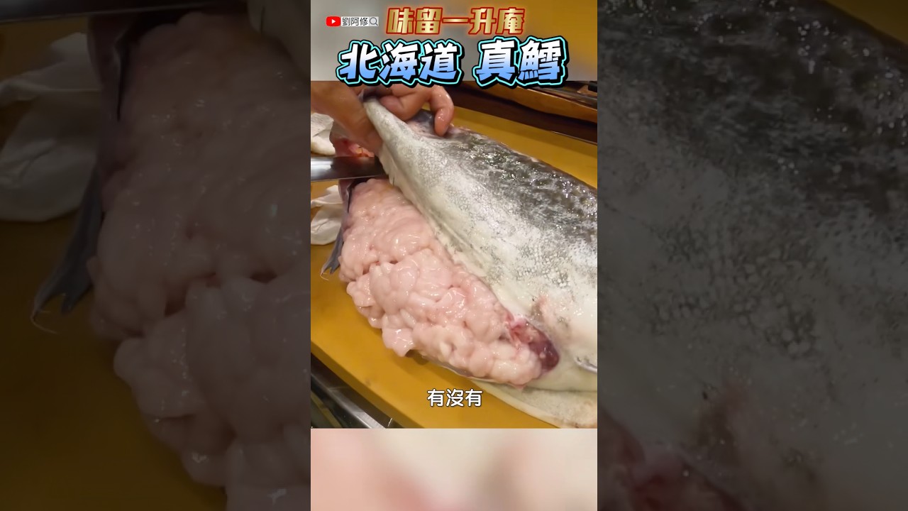 如何將真鱈的白子完整取下⁉️北海道真鱈的詳細切割過程（下篇） #北海道 #禮文島 #真鱈 #白子 #魚白 #味留一升庵 #cuttingskills