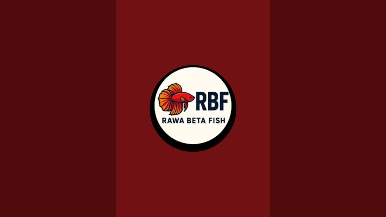 RBF Beta Fish 2 sedang live sekarang!