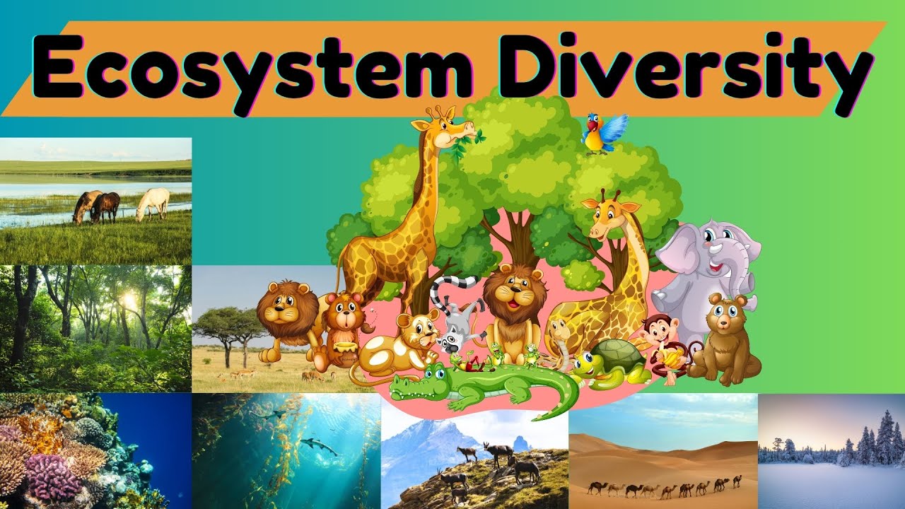 Ecosystem Diversity Explained 🌎 | Why Different Habitats Matter for Life on Earth