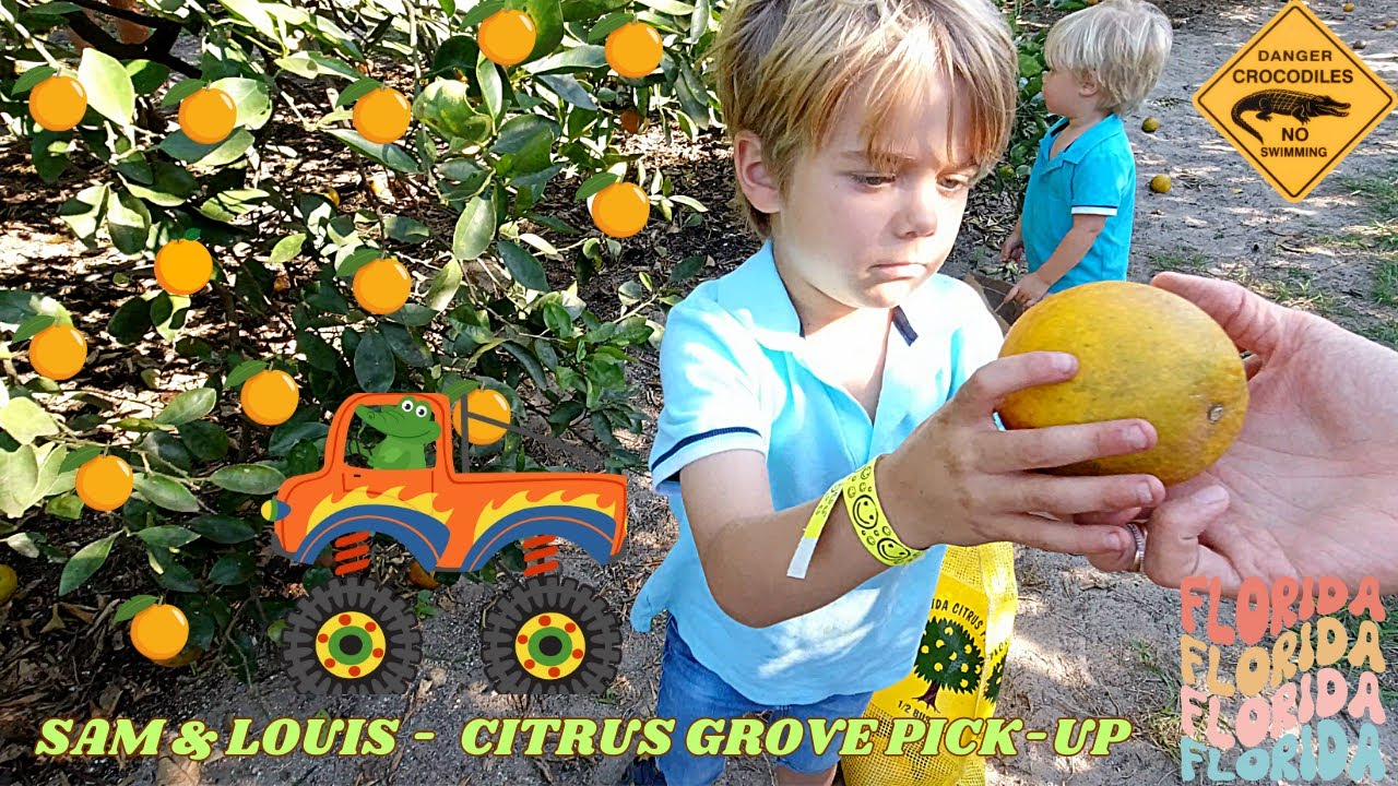 Orange Citrus Grove & Monster Truck with Sam & Louis | Educational Videos for Kids