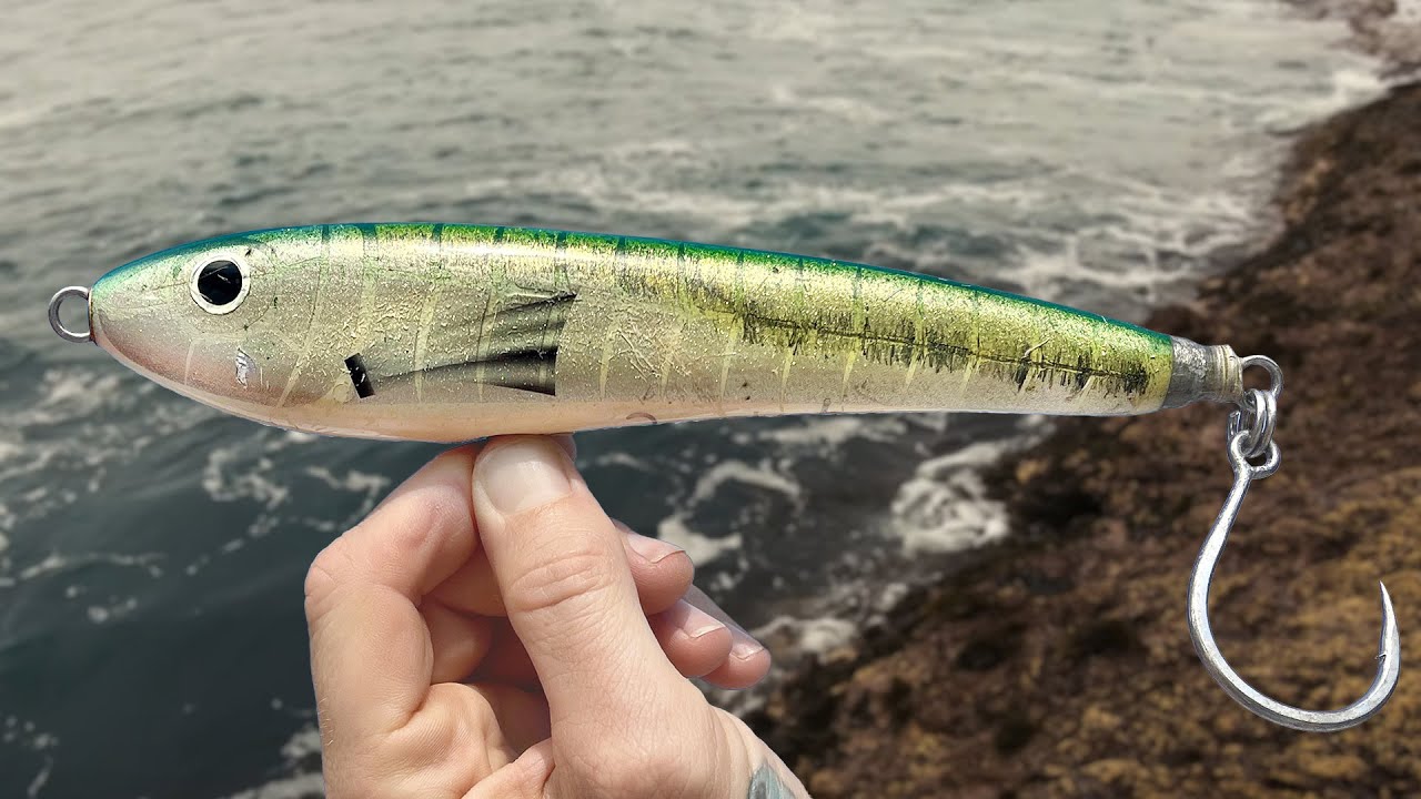 Stickbaiting for YellowTail Kingfish