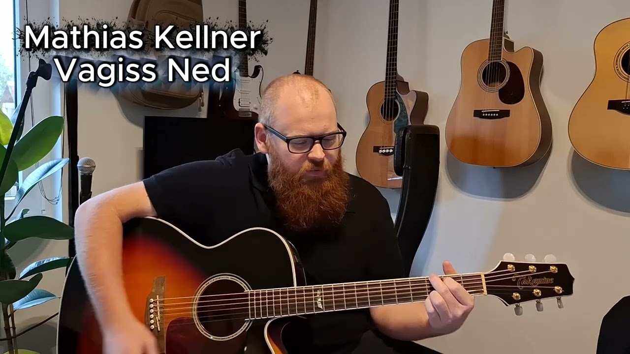 Vagiss Ned - Cover