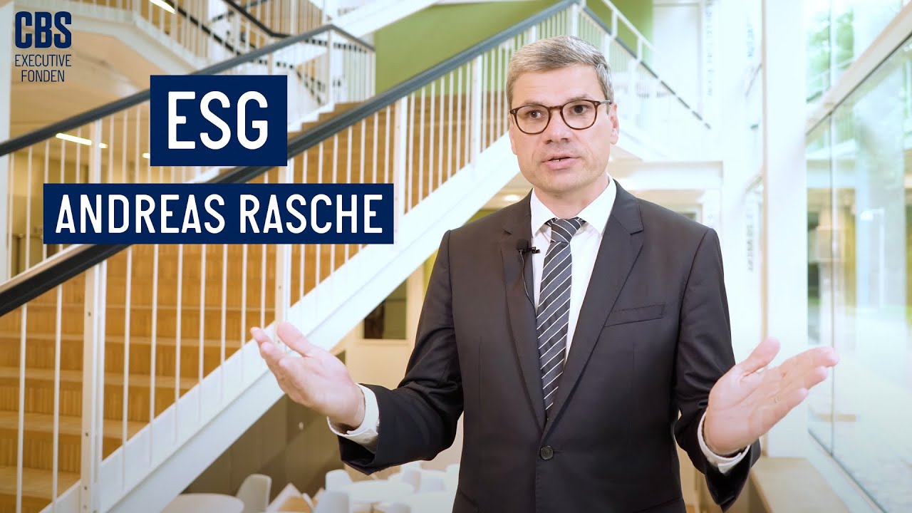 Professor Andreas Rasche on ESG