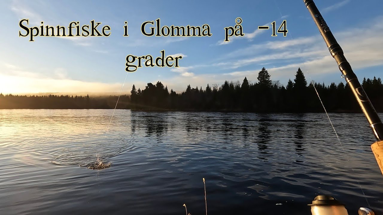 Glomma har mange gode fiskeplasser for harr og ørret.