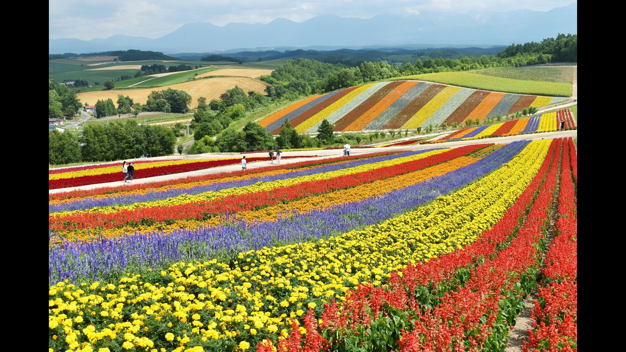 今年暑假的旅行计划：北海道和中亚 | This Summer’s Travel Plans: Hokkaido and Central Asia