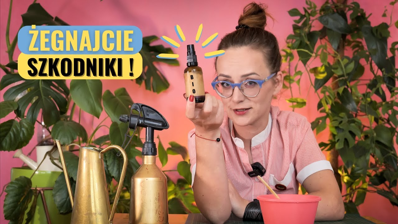 Zapomnij o Szkodnikach: Jak Olejek z Miodlii Indyjskiej Chroni Twoje Rośliny. Stosowanie Olejku Neem