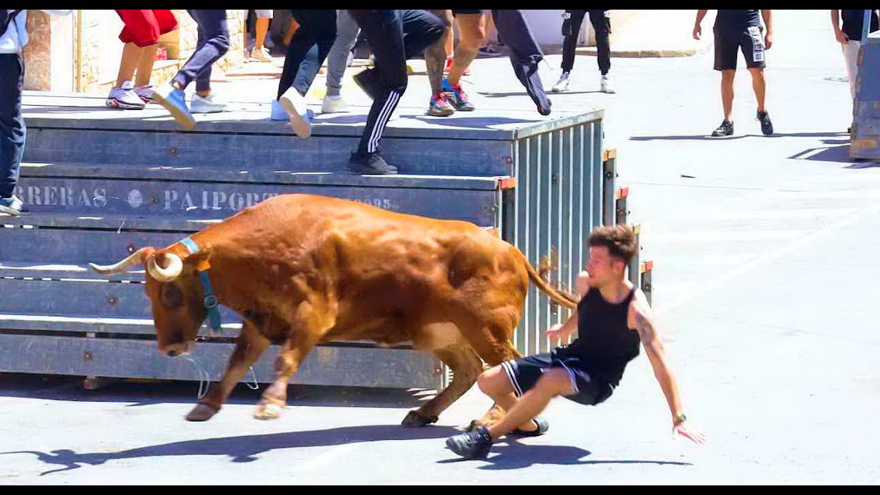 🟢2024 CULLERA 16 INTREGRO Famosa vaca bailarina