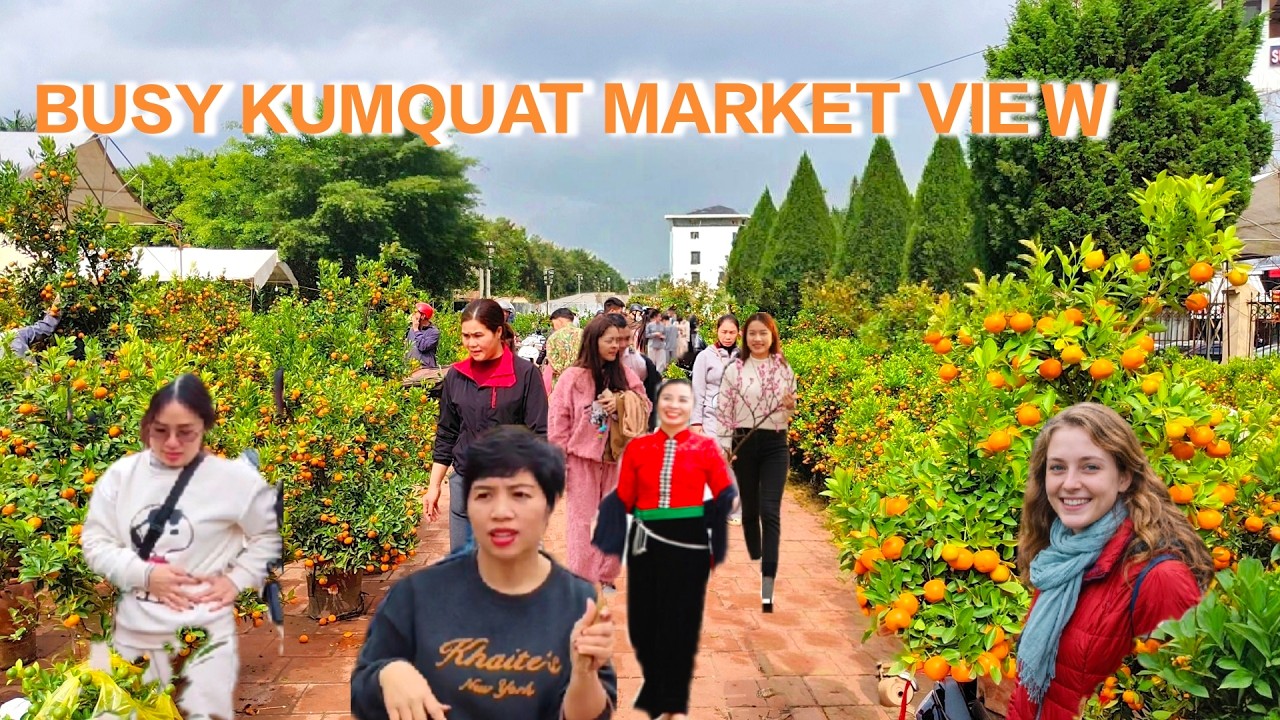 BUSY TET KUMQUAT MARKET | OWNER SLASHES PRICES