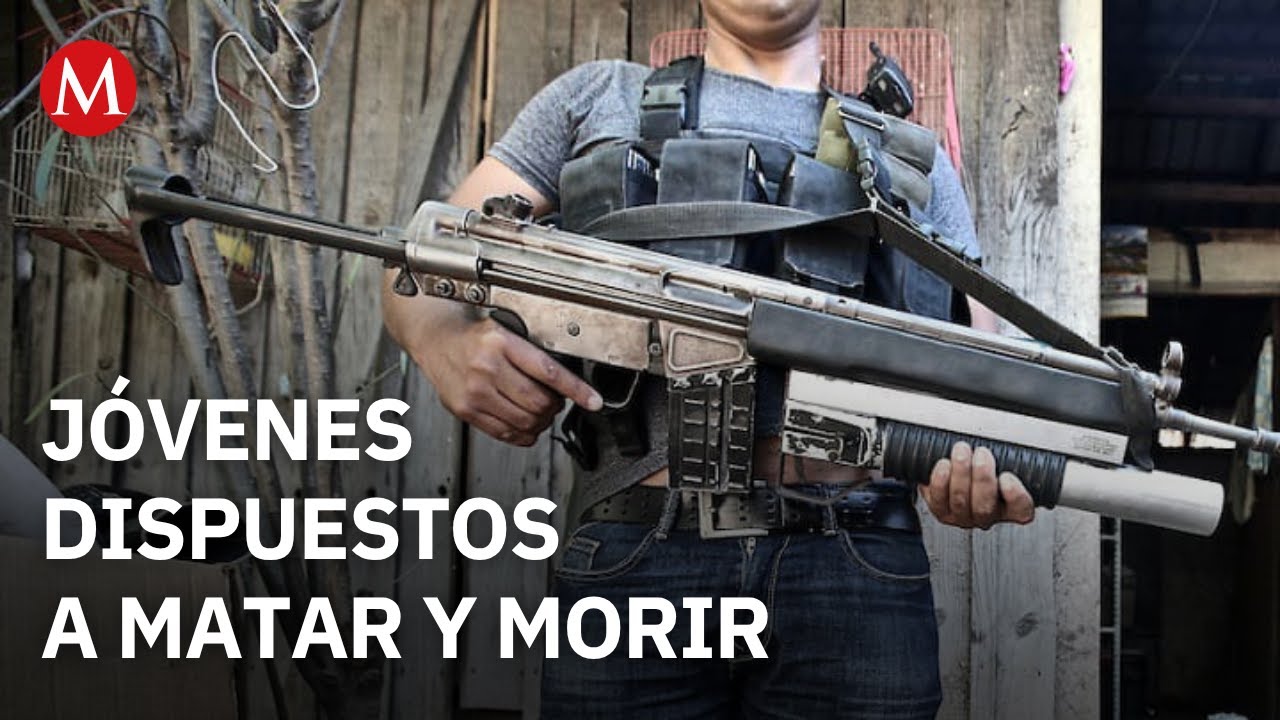 Sicarios 'Kamikaze', utilizados por el crimen organizado: Liliana Est&eacute;vez