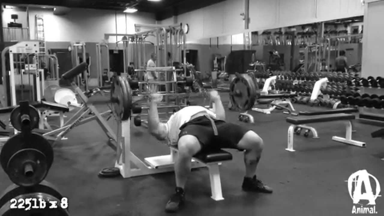 The Animal Underground: Derek Kendall, Benching