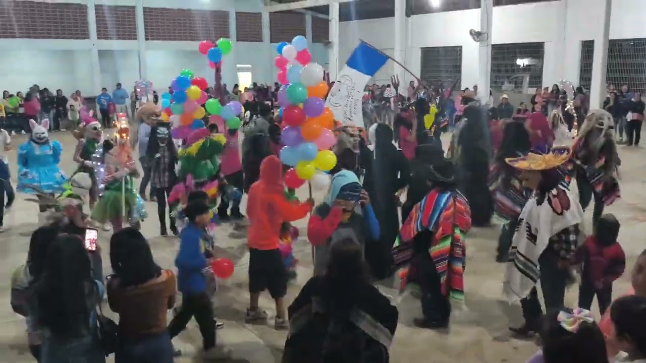 Banda Girasoles en PreCarnaval 2026 Emiliano Zapata Alamo 