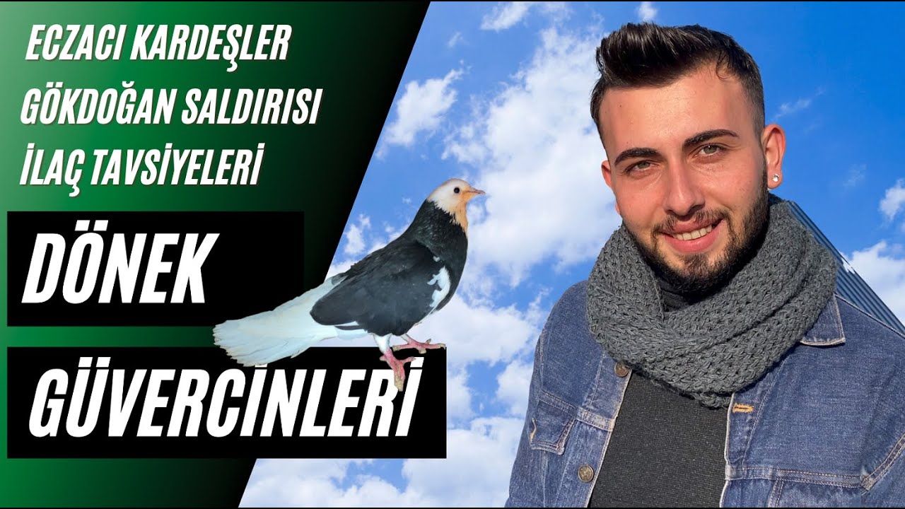 Dönek Güvercin Sohbeti Eczacı Kardeşlerin