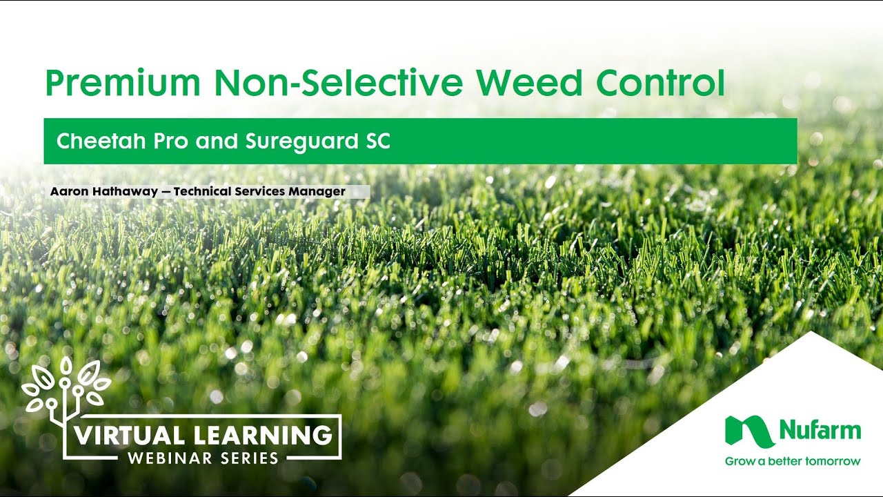 Premium Non-Selective Weed Control