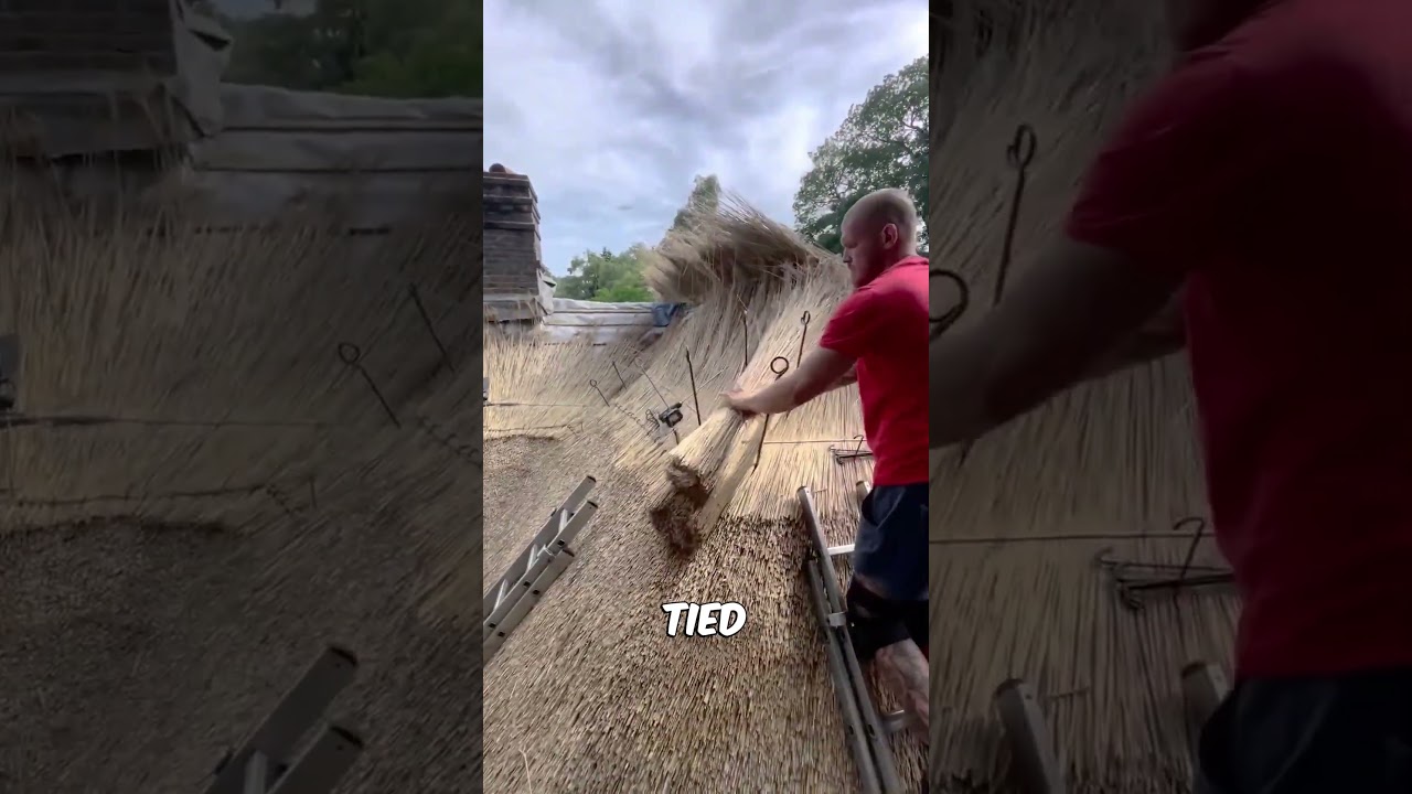 Reed Roof Making by Skilled Hands#shorts